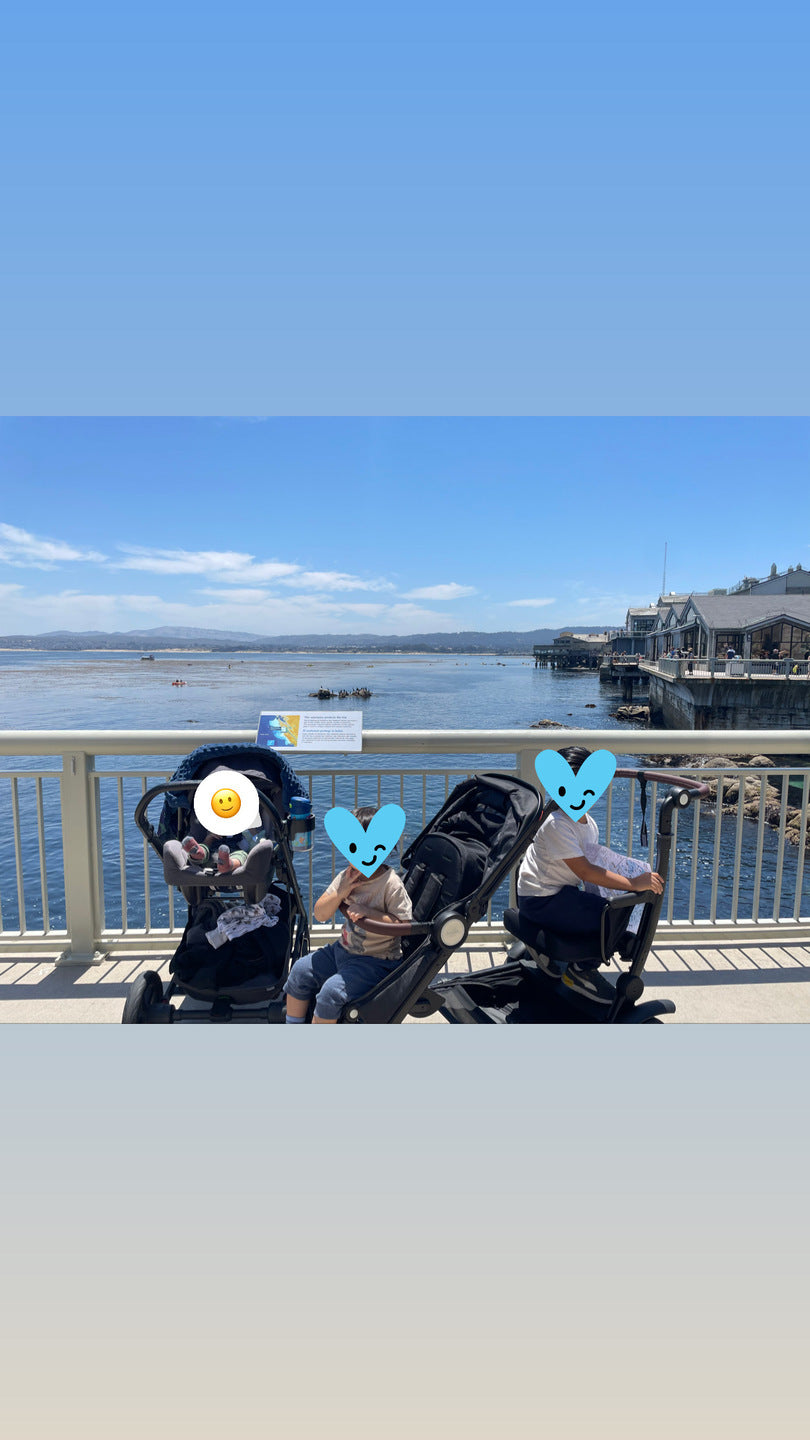 The Stroller That Finally Ended the Complaints (Spoiler: It's The Austlen Entourage)