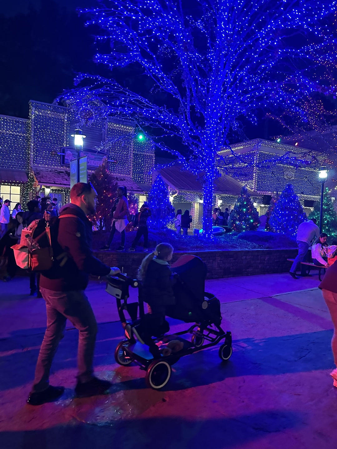 The Stroller I Searched Months to Find (Spoiler - It's The Austlen Entourage)