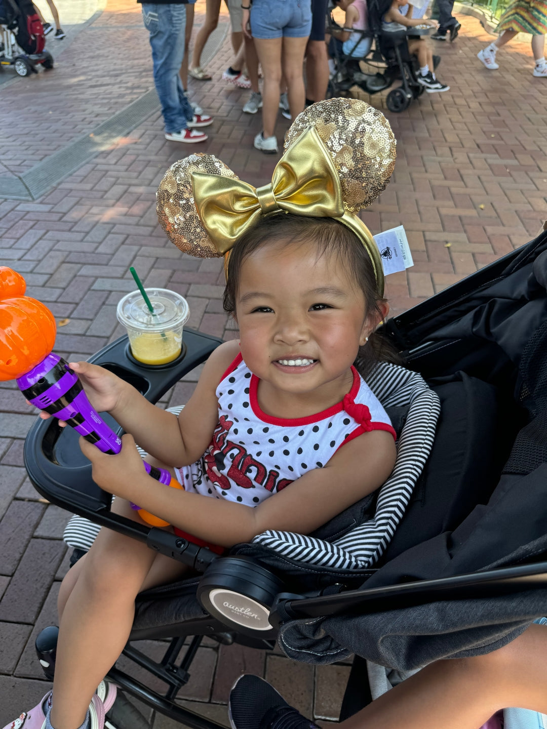 Why I Upgraded to the Austlen Entourage 2.0, And Why It’s the Best Double and Sit to Stand Stroller for Our Family (And the BEST Disney Stroller!)