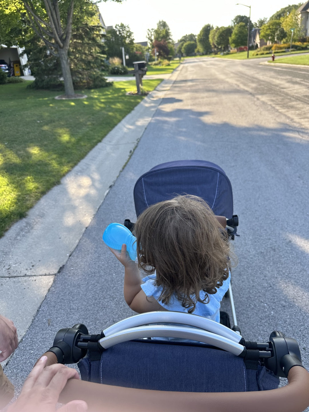 The State Fair Taught Us We Needed a Better Stroller: The Austlen Entourage
