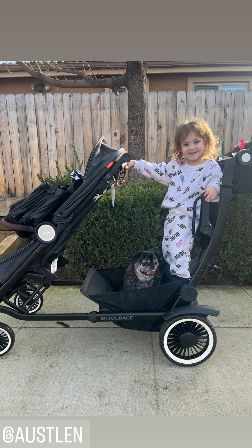 The Best Stroller for a Preschooler and a Baby (And a Dog!)