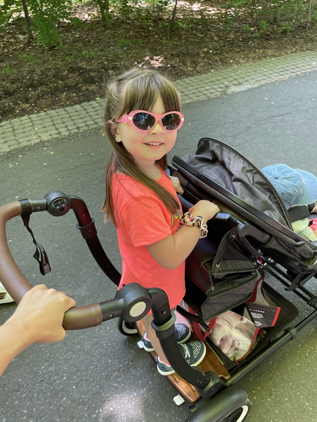 The Only Stroller My Whole Crew Agrees On: The Austlen Entourage