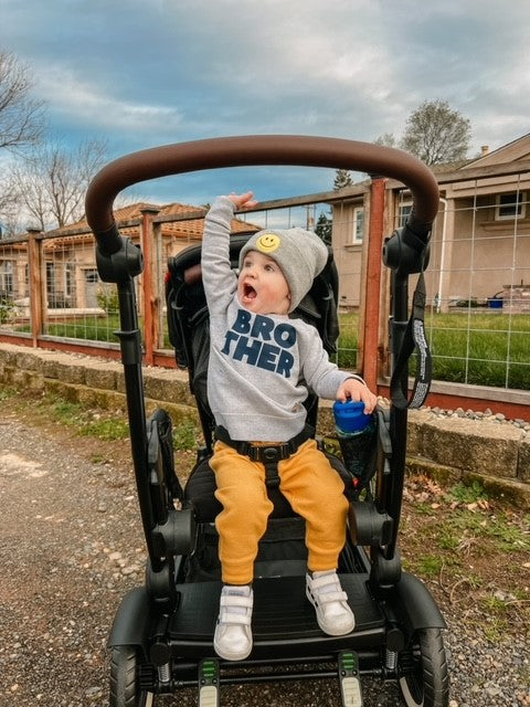 The Stroller My Whole Family Is Excited About: The Austlen Entourage